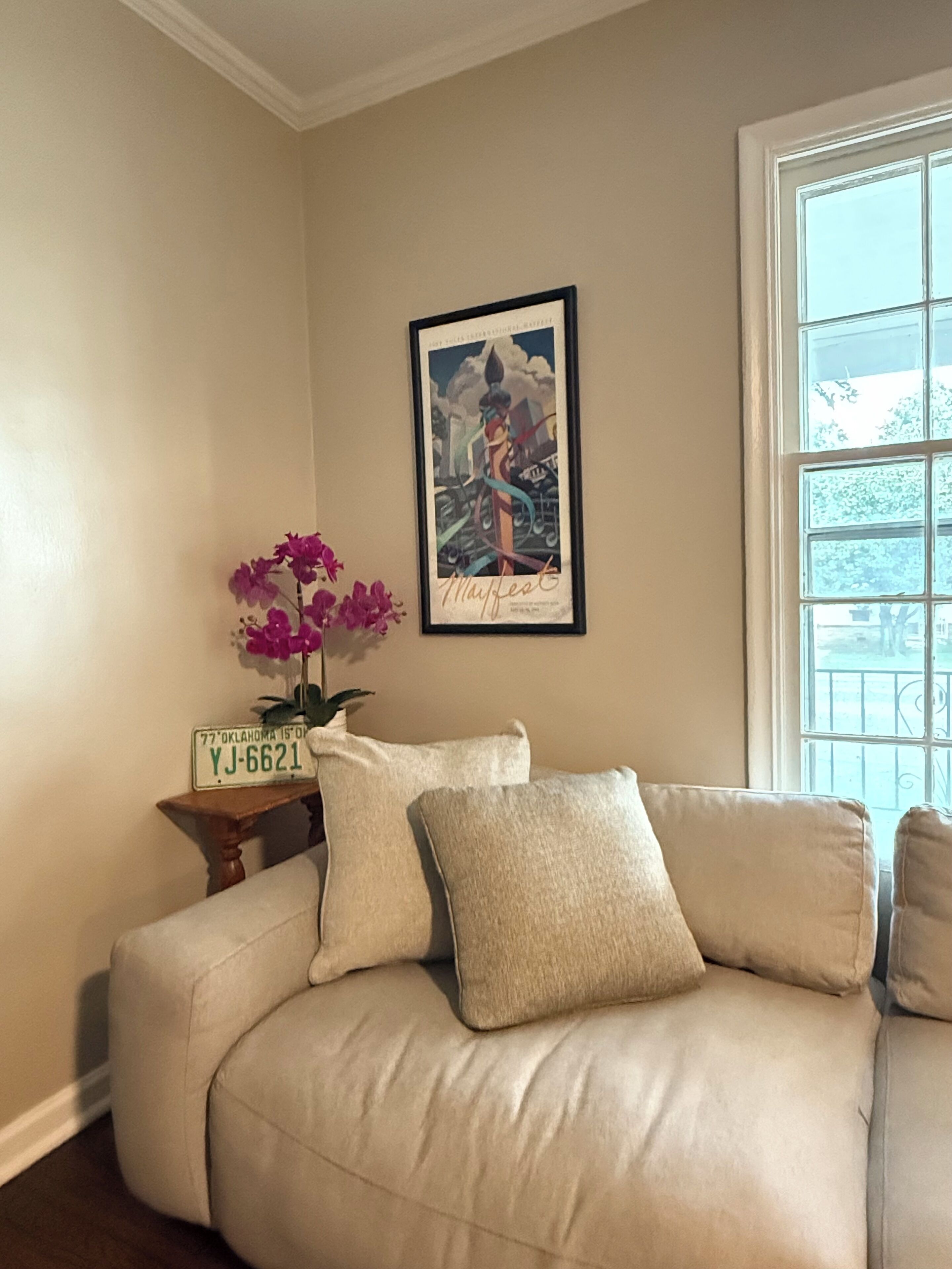 Televisor intel·ligent i llibres 