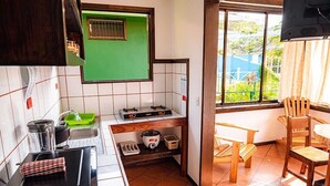 Una cocina funcional con estufa a gas, lavamanos y ventana con vistas a un área verde.