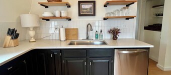 Downtown Spacious Penthouse