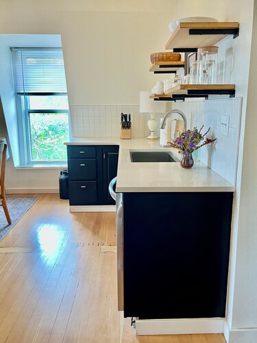 Downtown Spacious Penthouse 