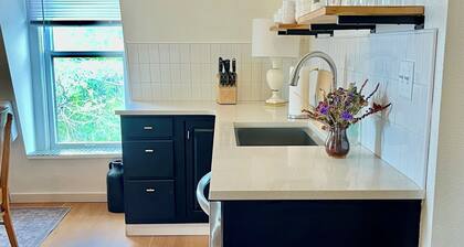 Downtown Spacious Penthouse