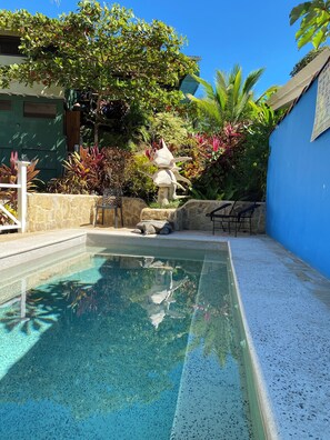 Outdoor pool - Sunrise in the mountains (Montezuma)