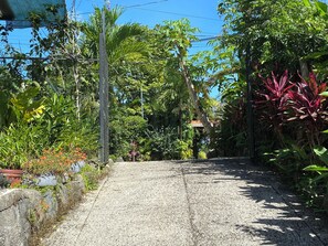 Property grounds - Sunrise in the mountains (Montezuma)