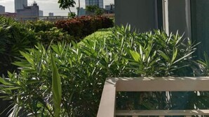 Ein Balkon mit Blick auf eine Stadtlandschaft, umgeben von üppiger Vegetation und einem kleinen Baum.