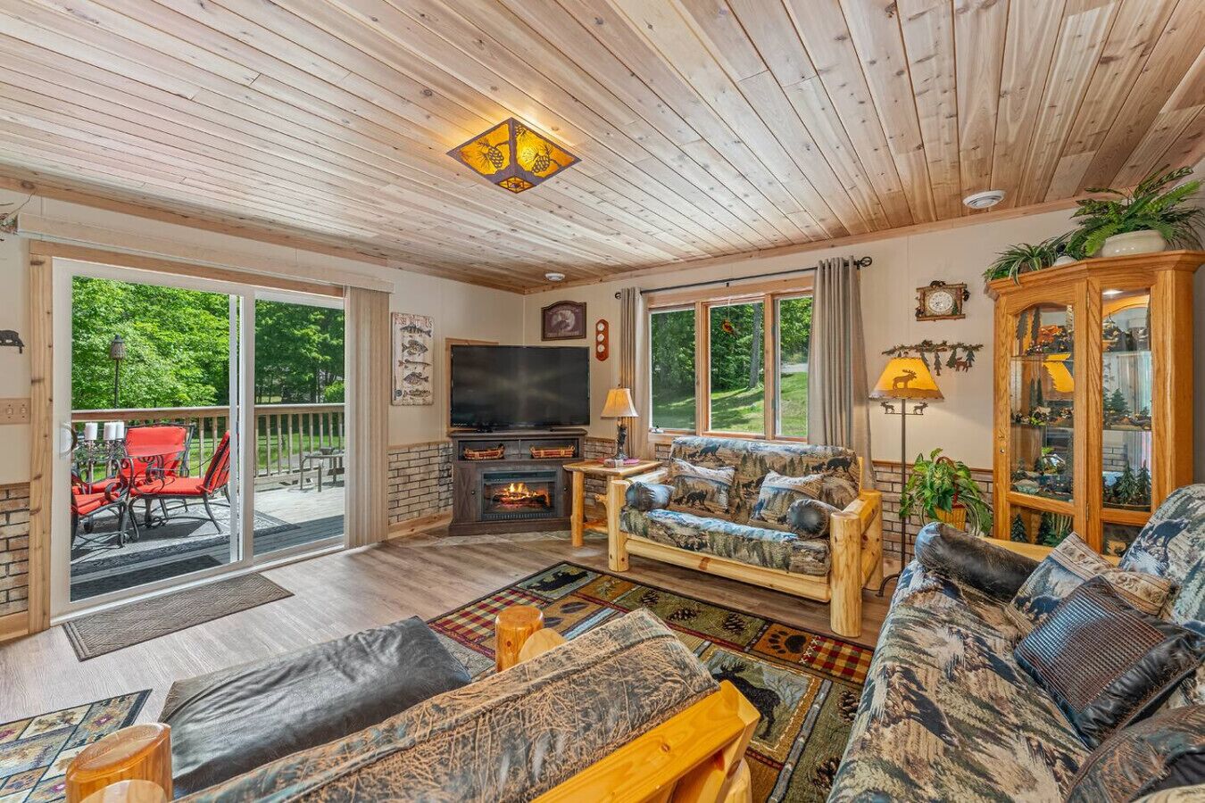 Fernseher, Kamin, DVD-Player, Videothek