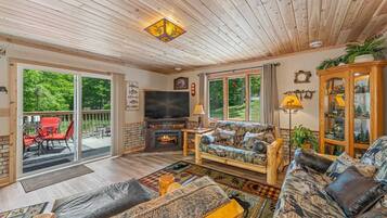 TV, fireplace, DVD player, video library