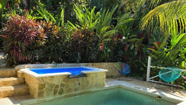 En swimmingpool med sten trapper og et spabad, omgivet af frodig, tropisk vegetation.