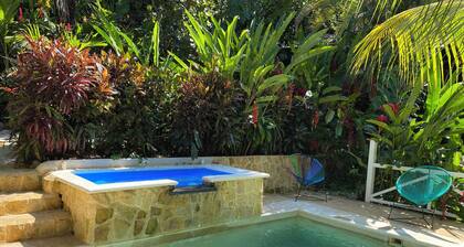 Colibri beautiful house in the middle of an exotic garden