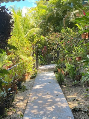 Property grounds - Colibri beautiful house in the middle of an exotic garden (Montezuma)