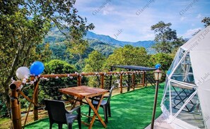 客房, 可攜帶寵物, 山景