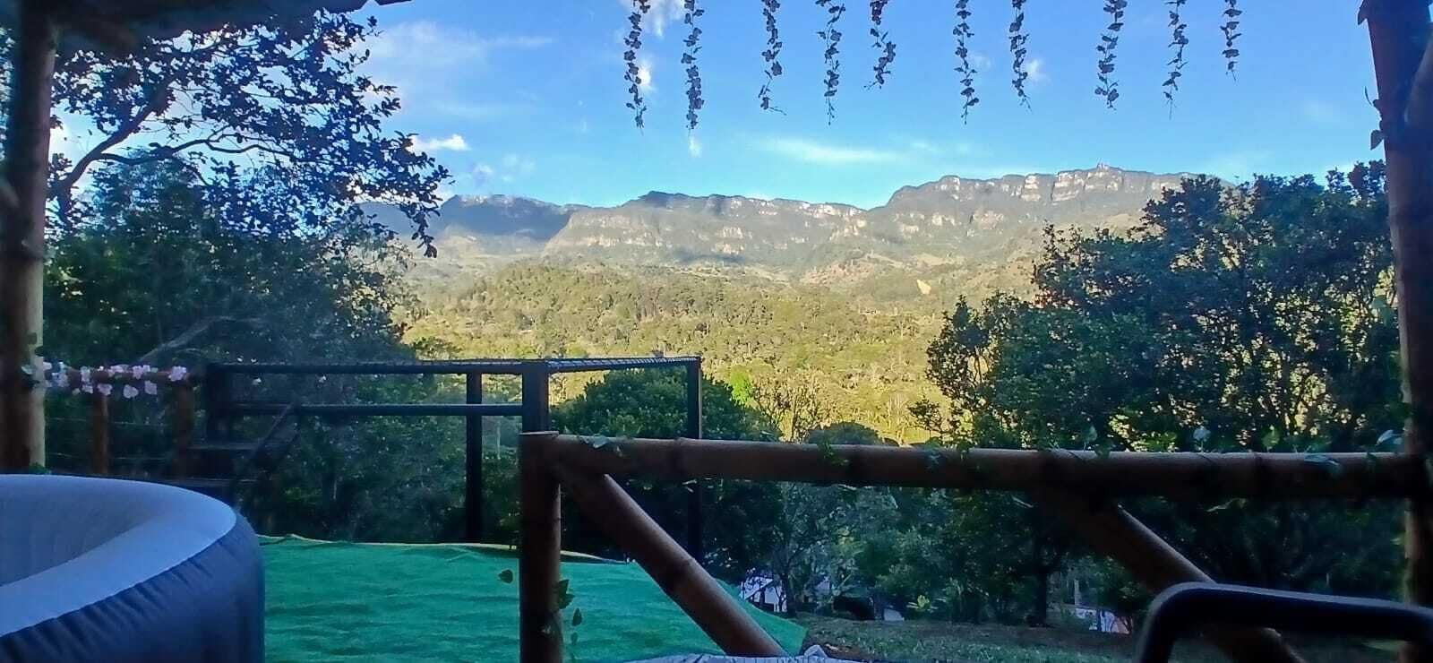 Room, Pets Allowed, Mountain View