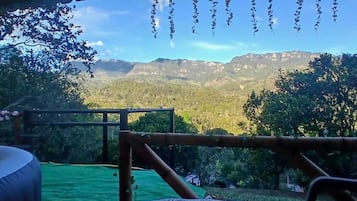 Room, Pets Allowed, Mountain View