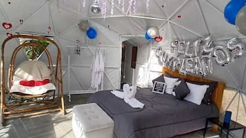 Room, Pets allowed, Mountain View