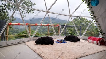 Room, Pets allowed, Mountain View