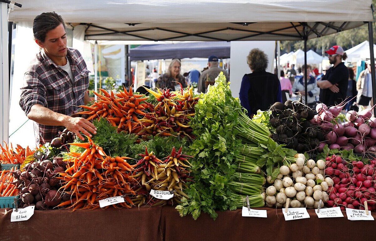 Foto de perfil del anfitrión