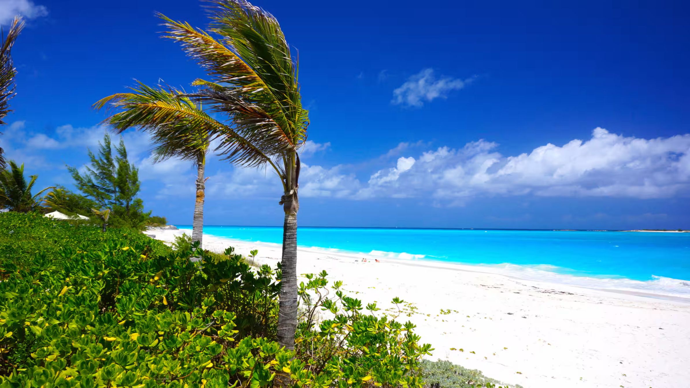 A beach with white sand, clear blue water, and palm trees.