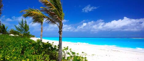 A beach with white sand, clear blue water, and palm trees.