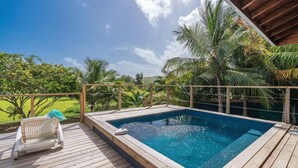 Una terraza de madera con un jacuzzi y una piscina, rodeada de palmeras y un cielo despejado.