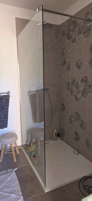 Shower, towels, toilet paper