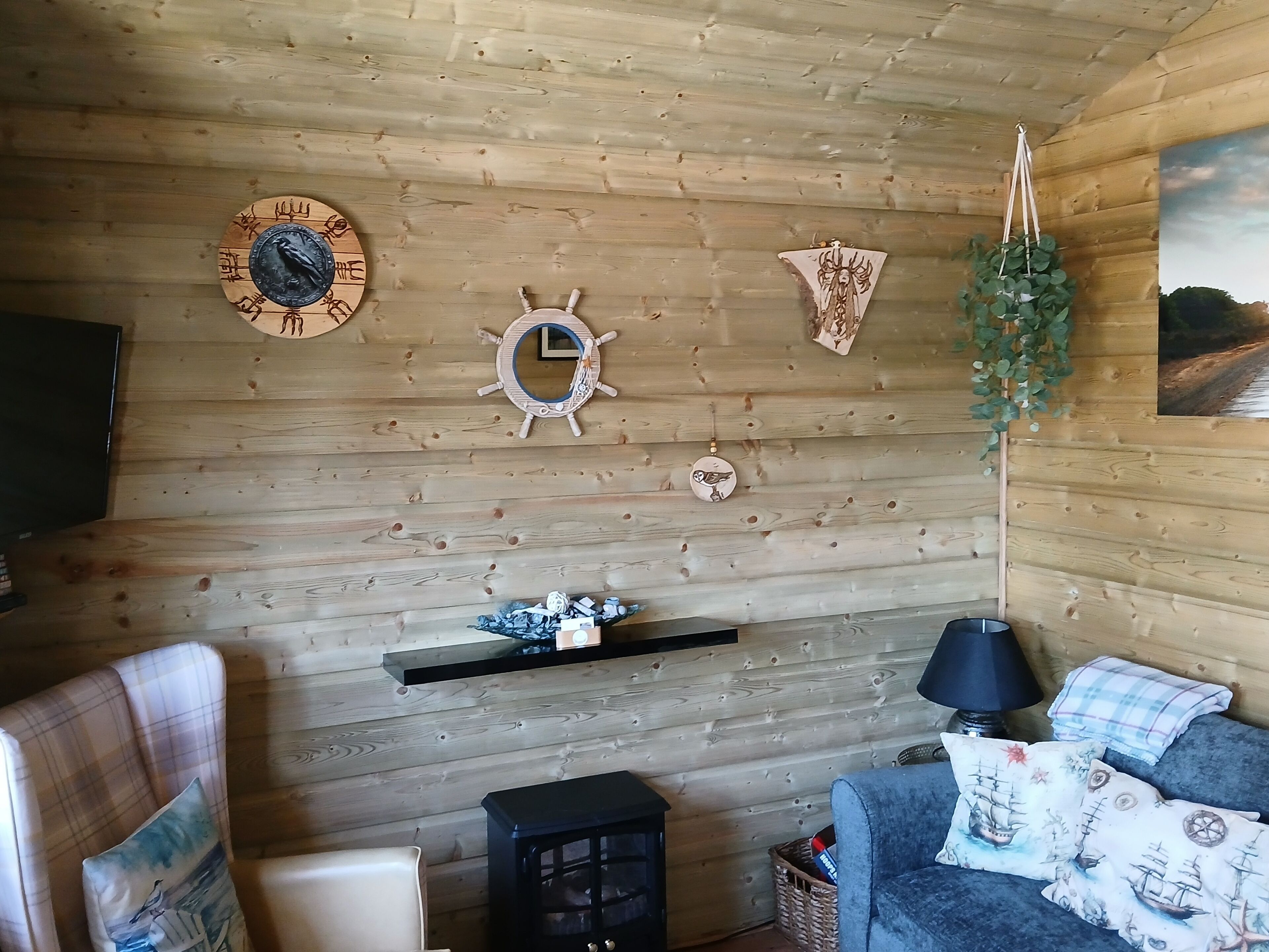 Smart TV, chimenea, reproductor de DVD y libros 