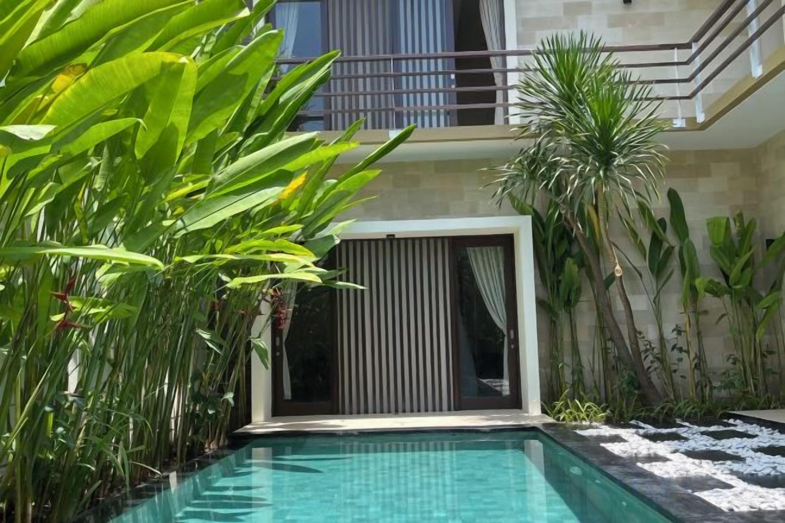 A swimming pool with a modern building in the background, surrounded by tropical plants.