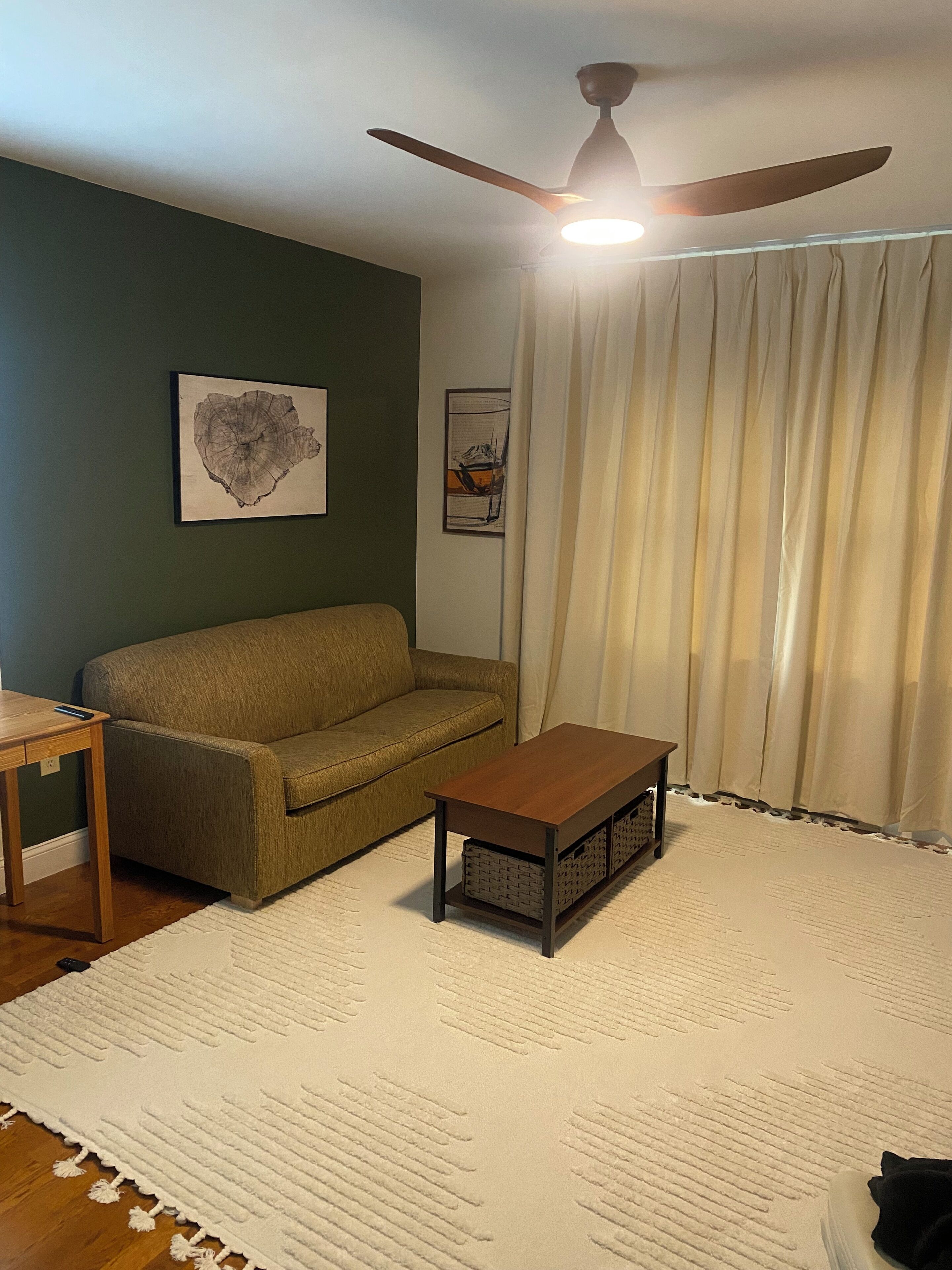 A living room with a green sofa, a wooden coffee table, a white rug, and a ceiling fan.