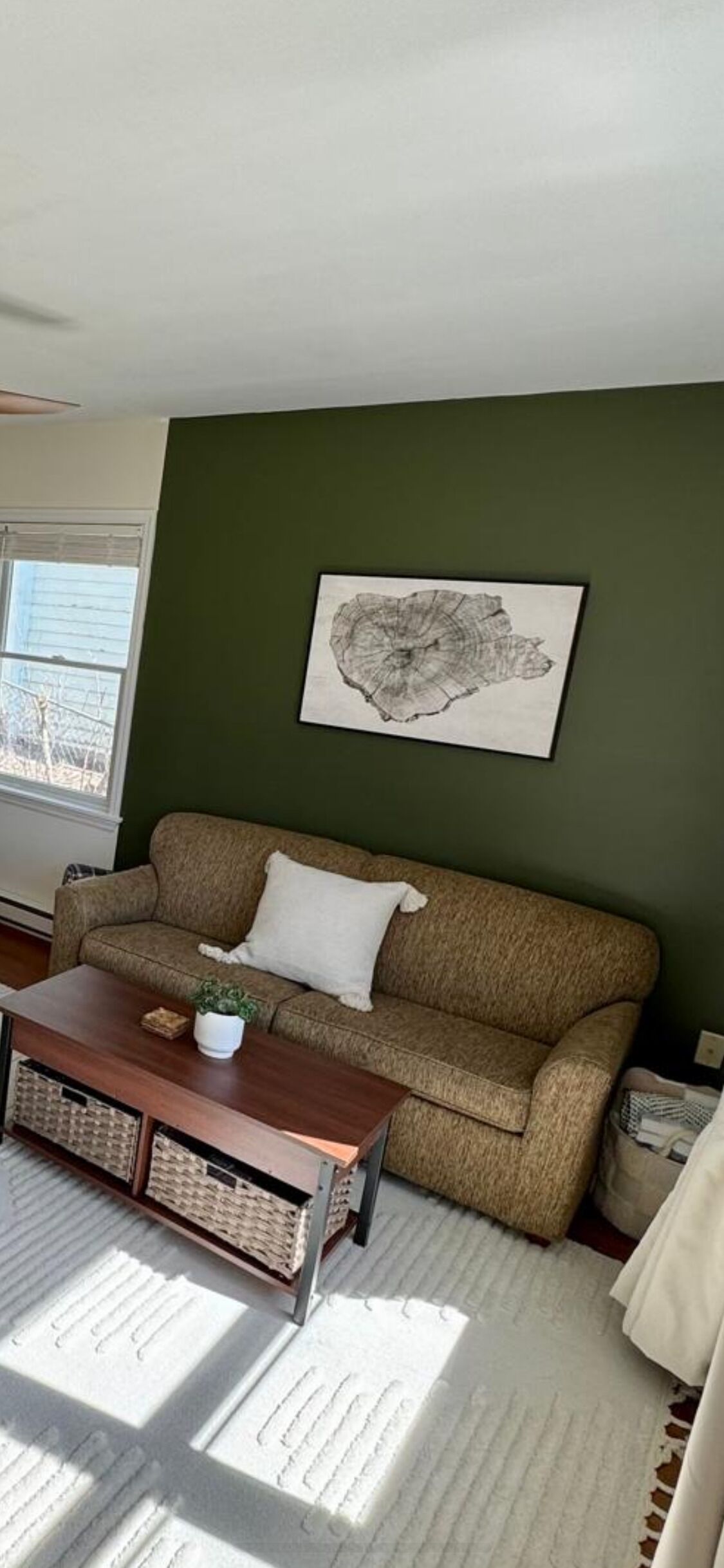 A living room with a green wall, a brown sofa, a white rug, and a coffee table with a plant.