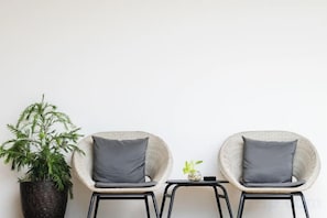 Deux fauteuils en osier avec des coussins gris, une petite table avec une plante, et une plante en pot placée à côté des fauteuils.