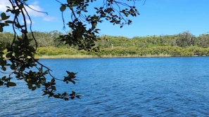 A calm body of water with a clear sky and dense greenery in the background. - Jopen Motel Unit 2 ~ Stress-free, affordable, and comfortable (Sussex Inlet)