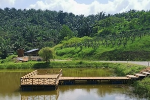 A wooden dock extending into a calm body of water, surrounded by lush greenery and a hill with dense vegetation. - Talula Hill Farmstay Kluang (Kluang)