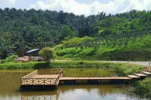 Servizio della struttura