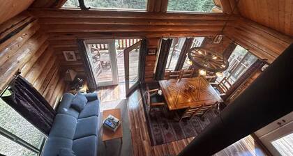 Lamar Valley Mountain Cabin