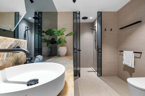 Regadera y secadora de cabello 