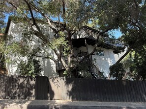 Un immeuble doté d’une échelle de secours, entouré d’arbres.