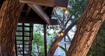 Private getaway in the hills of Studio City min to Universal Studios & Hollywood