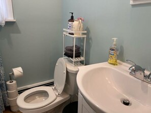 Hair dryer, towels, soap, toilet paper - Charming, airy apt., steps from Eastern Promenade in lovely Portland with AC (Portland)