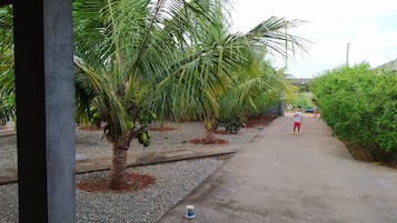 Área da propriedade