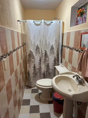 Hair dryer, towels, soap, toilet paper