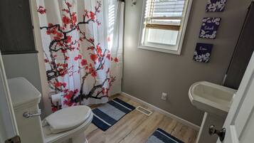 Serviettes fournies, savon, papier toilette