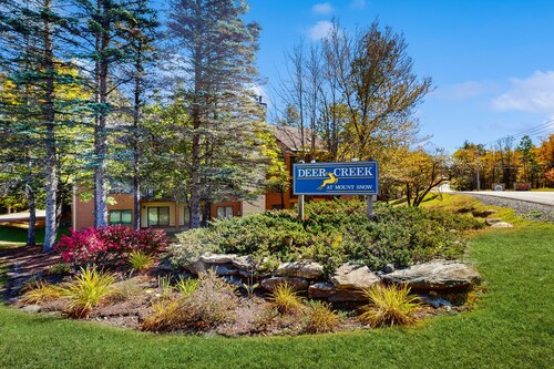 Slopeside walk-to-lift condo w/ wood-burning fireplace, patio, washer/dryer