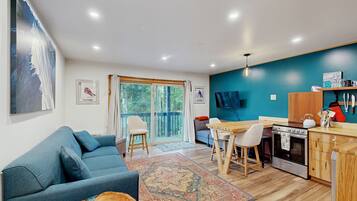 TV, DVD player, books, video library