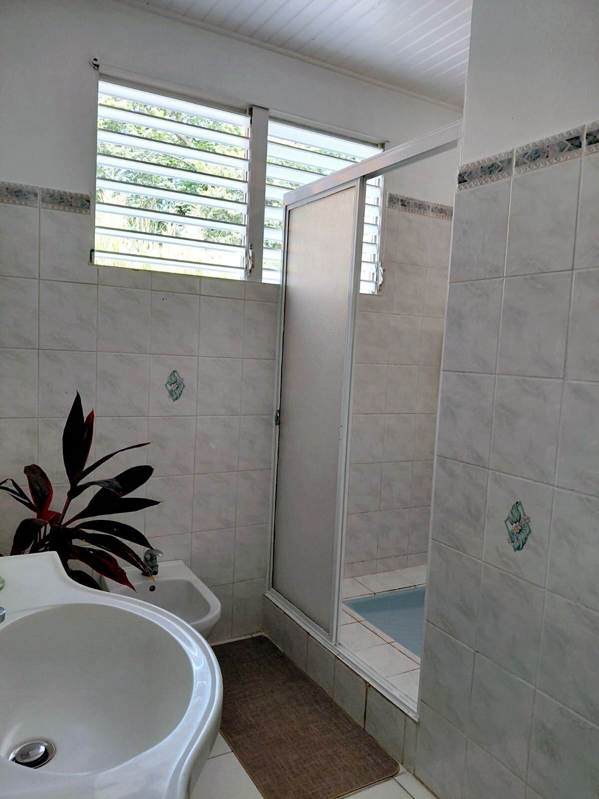 Douche, serviettes fournies