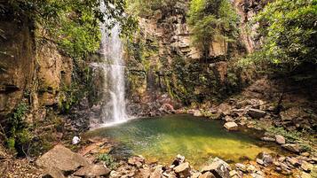 A natural waterfall and a clear pool surrounded by rocks and greenery.