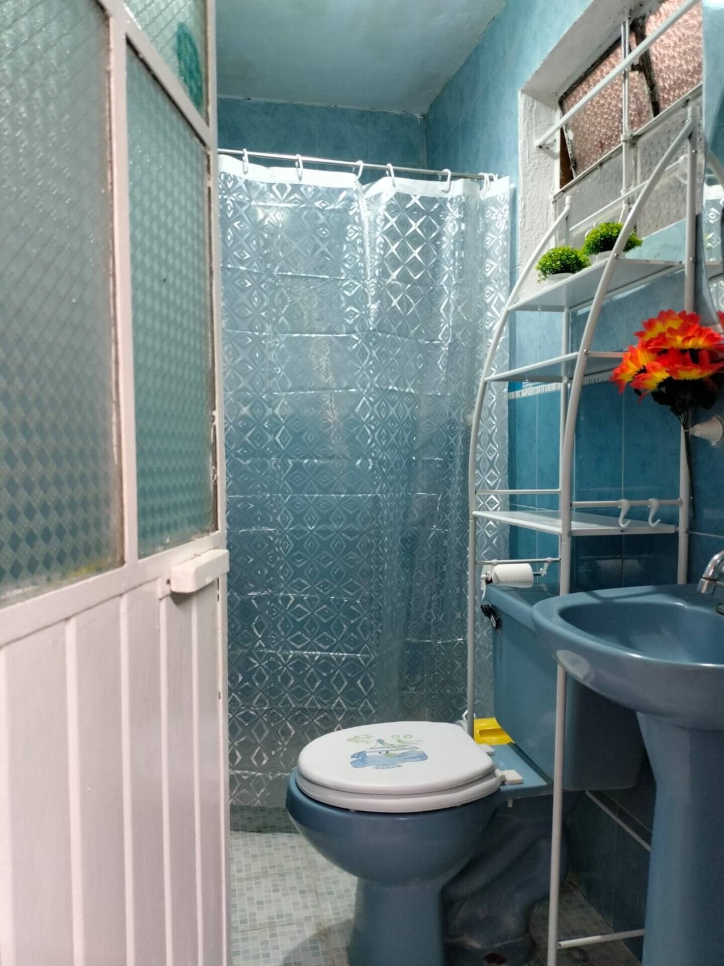 Secador de cabelo, toalhas de banho, sabonete, papel higiênico