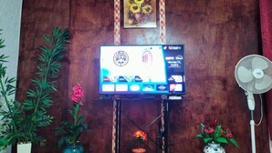 A television on a stand with a wooden wall behind it, a fan to the right, and potted plants on either side. - Quiet and beautiful apartment (Orizaba)