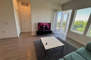 TV - Apartment in Austin (Leander)