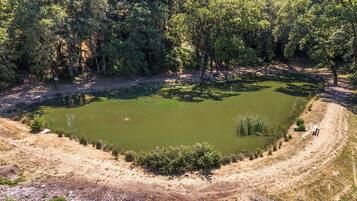 An aerial view of a natural pond surrounded by dense forest, with a dirt path leading to a bench.