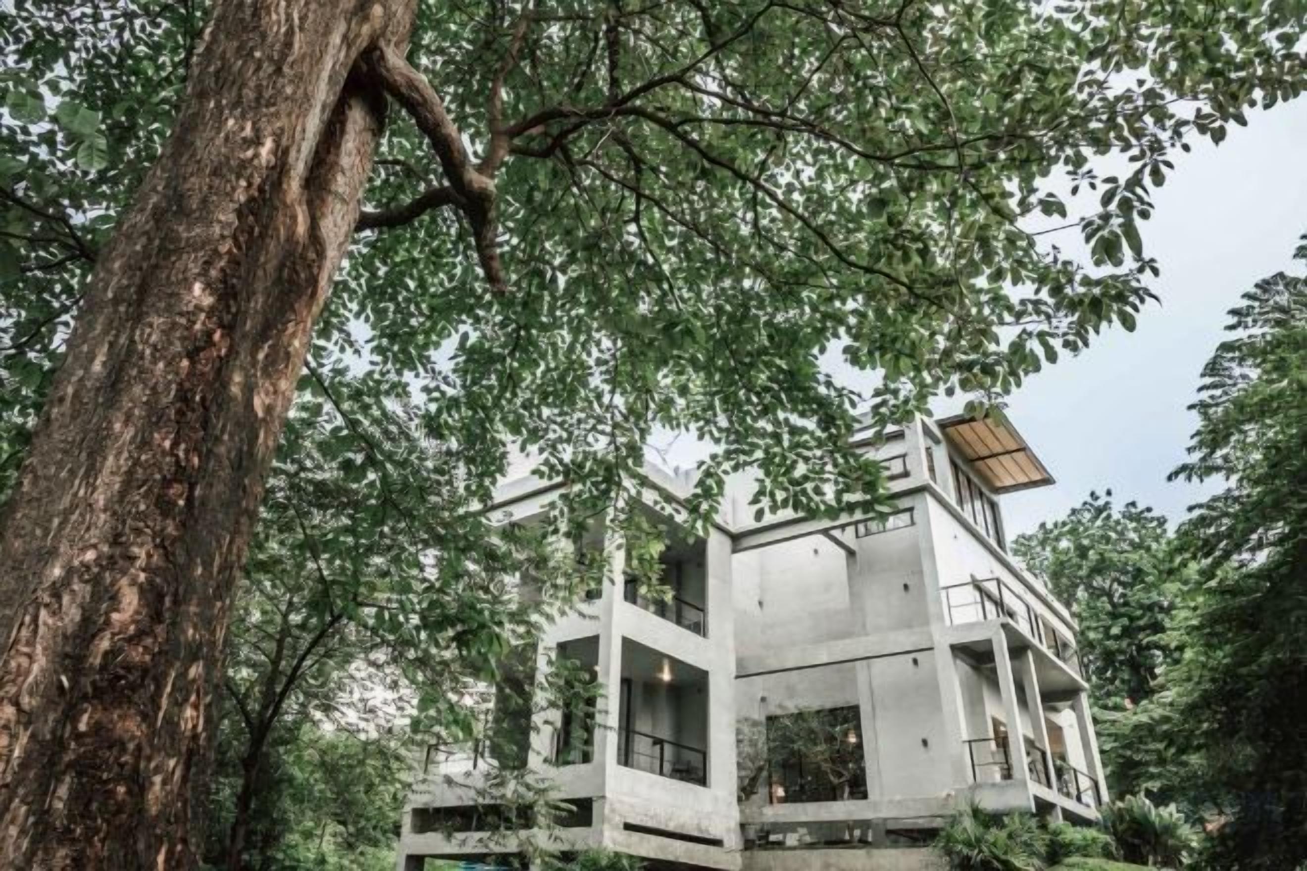 Un edificio moderno con varios pisos, rodeado de árboles.