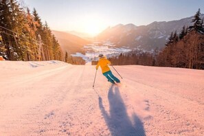 Snow and ski sports - Luxescape-Chalet Apartement Almzeit-Wandern-Traumaussicht-Sauna-Naturschutzgebiet (Predlitz-Turrach)