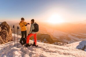 Snow and ski sports - Luxescape-Chalet Apartement Almzeit-Wandern-Traumaussicht-Sauna-Naturschutzgebiet (Predlitz-Turrach)